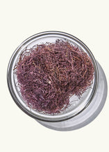 Load image into Gallery viewer, DRIED HAWAIIAN OGO SEAWEED- RED